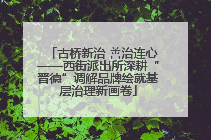 古桥新治 善治连心——西街派出所深耕“晋德”调解品牌绘就基层治理新画卷