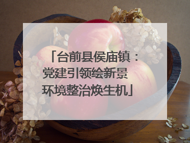 台前县侯庙镇：党建引领绘新景 环境整治焕生机