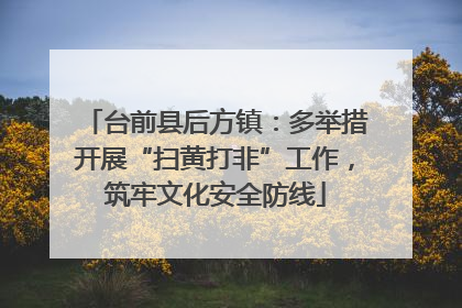 台前县后方镇：多举措开展“扫黄打非”工作，筑牢文化安全防线