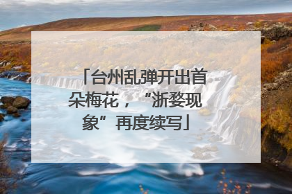 台州乱弹开出首朵梅花，“浙婺现象”再度续写