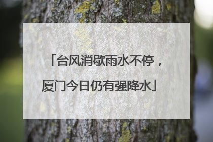 台风消歇雨水不停，厦门今日仍有强降水