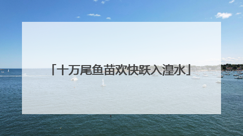 十万尾鱼苗欢快跃入湟水