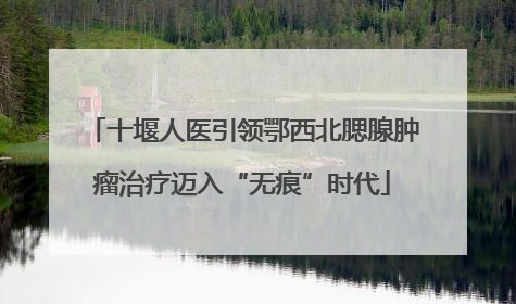 十堰人医引领鄂西北腮腺肿瘤治疗迈入“无痕”时代