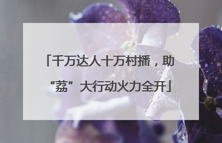 千万达人十万村播，助“荔”大行动火力全开