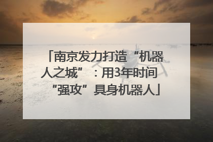 南京发力打造“机器人之城”：用3年时间“强攻”具身机器人