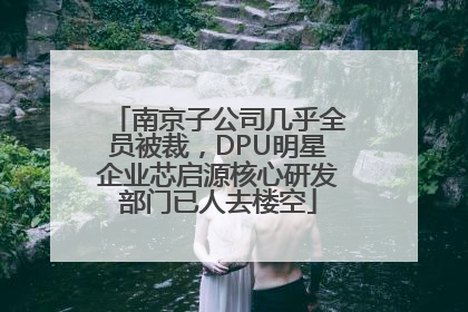 南京子公司几乎全员被裁，DPU明星企业芯启源核心研发部门已人去楼空