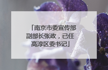 南京市委宣传部副部长张政，已任高淳区委书记
