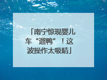 南宁惊现婴儿车“遛鸭”！这波操作太吸睛