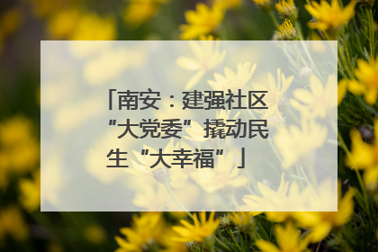 南安：建强社区“大党委”撬动民生“大幸福”