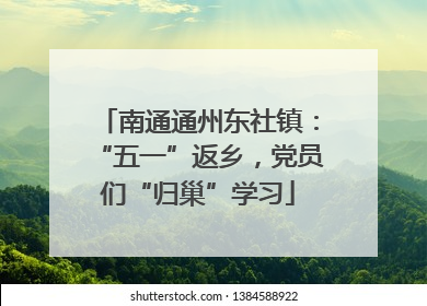 南通通州东社镇：“五一”返乡，党员们“归巢”学习