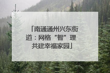 南通通州兴东街道：网格“智”理 共建幸福家园