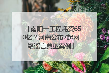 南阳一工程耗资650亿？河南公布7起网络谣言典型案例