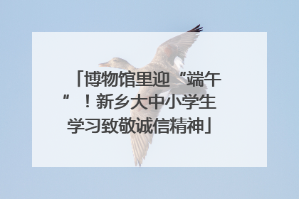 博物馆里迎“端午”！新乡大中小学生学习致敬诚信精神