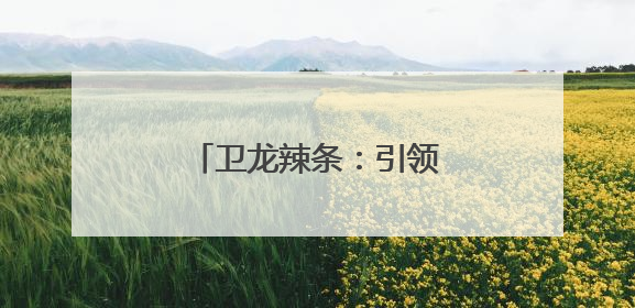 卫龙辣条：引领千亿辣味市场，勇做行业破局先锋