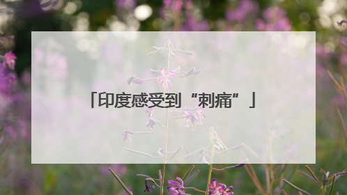 印度感受到“刺痛”