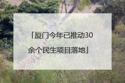 厦门今年已推动30余个民生项目落地