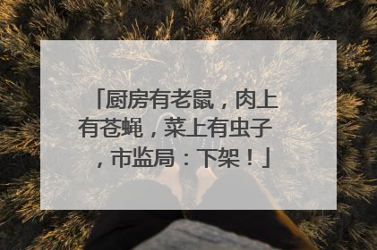厨房有老鼠，肉上有苍蝇，菜上有虫子，市监局：下架！