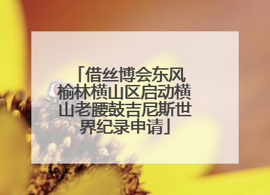 借丝博会东风 榆林横山区启动横山老腰鼓吉尼斯世界纪录申请