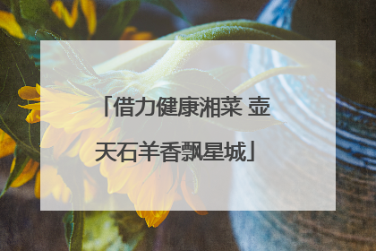 借力健康湘菜 壶天石羊香飘星城