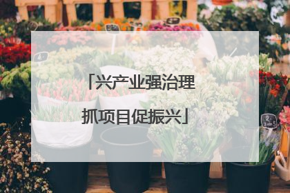 兴产业强治理 抓项目促振兴