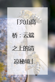 兴山高桥：云端之上的清凉秘境