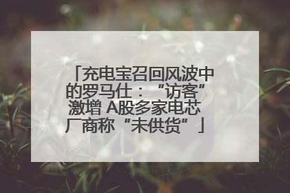 充电宝召回风波中的罗马仕：“访客”激增 A股多家电芯厂商称“未供货”