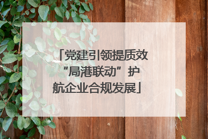 党建引领提质效 “局港联动”护航企业合规发展