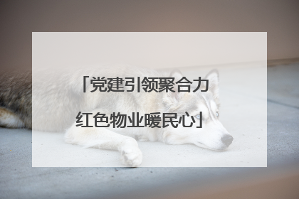 党建引领聚合力 红色物业暖民心