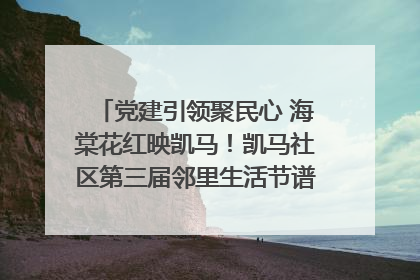 党建引领聚民心 海棠花红映凯马！凯马社区第三届邻里生活节谱写幸福新篇章