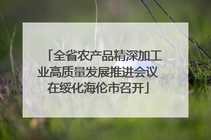 全省农产品精深加工业高质量发展推进会议在绥化海伦市召开