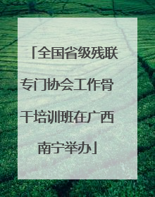 全国省级残联专门协会工作骨干培训班在广西南宁举办