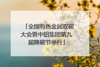 全国有色金属双碳大会暨中铝集团第九届降碳节举行