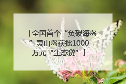 全国首个“负碳海岛”灵山岛获批1000万元“生态贷”