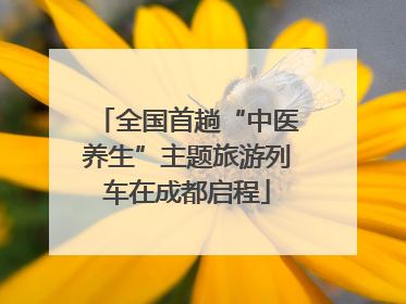 全国首趟“中医养生”主题旅游列车在成都启程