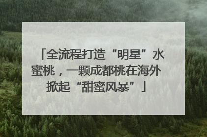 全流程打造“明星”水蜜桃，一颗成都桃在海外掀起“甜蜜风暴”