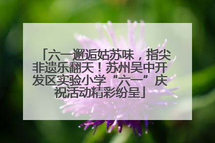 六一邂逅姑苏味，指尖非遗乐翻天！苏州吴中开发区实验小学“六一”庆祝活动精彩纷呈
