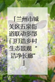 兰州市城关区五泉街道联动多部门打造乡村生态景观“洁净长廊”