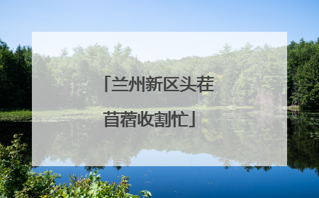 兰州新区头茬苜蓿收割忙