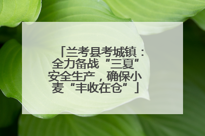 兰考县考城镇：全力备战“三夏”安全生产，确保小麦“丰收在仓”