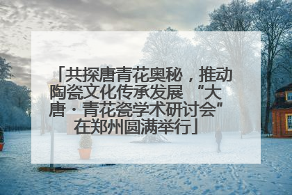 共探唐青花奥秘，推动陶瓷文化传承发展 “大唐・青花瓷学术研讨会”在郑州圆满举行