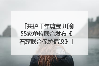 共护千年瑰宝 川渝55家单位联合发布《石窟联合保护倡议》