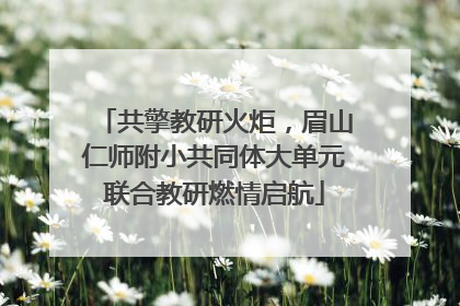 共擎教研火炬，眉山仁师附小共同体大单元联合教研燃情启航