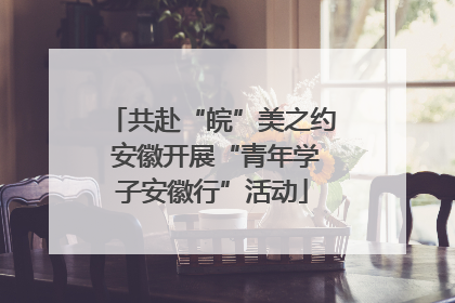 共赴“皖”美之约 安徽开展“青年学子安徽行”活动