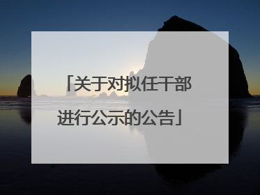 关于对拟任干部进行公示的公告