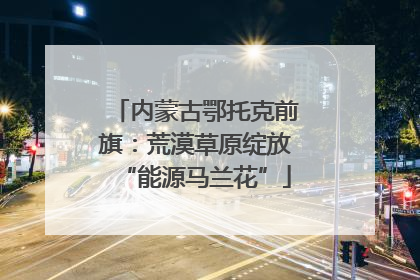内蒙古鄂托克前旗：荒漠草原绽放“能源马兰花”