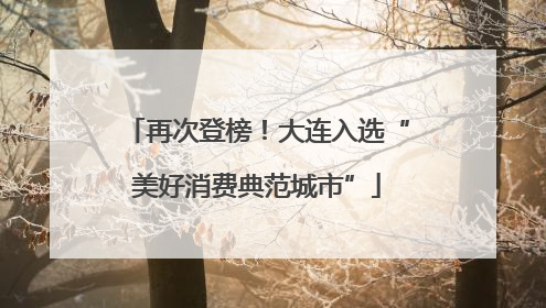 再次登榜！大连入选“美好消费典范城市”