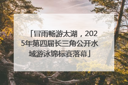 冒雨畅游太湖，2025年第四届长三角公开水域游泳锦标赛落幕