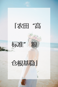 农田“高标准” 粮仓根基稳