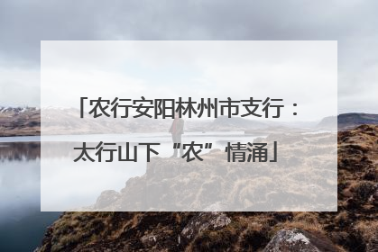 农行安阳林州市支行：太行山下“农”情涌