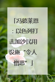 冯德莱恩：以色列打击加沙民用设施“令人憎恶”